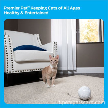Premier Pet Fox Den Cat Toy Interactive Interactive